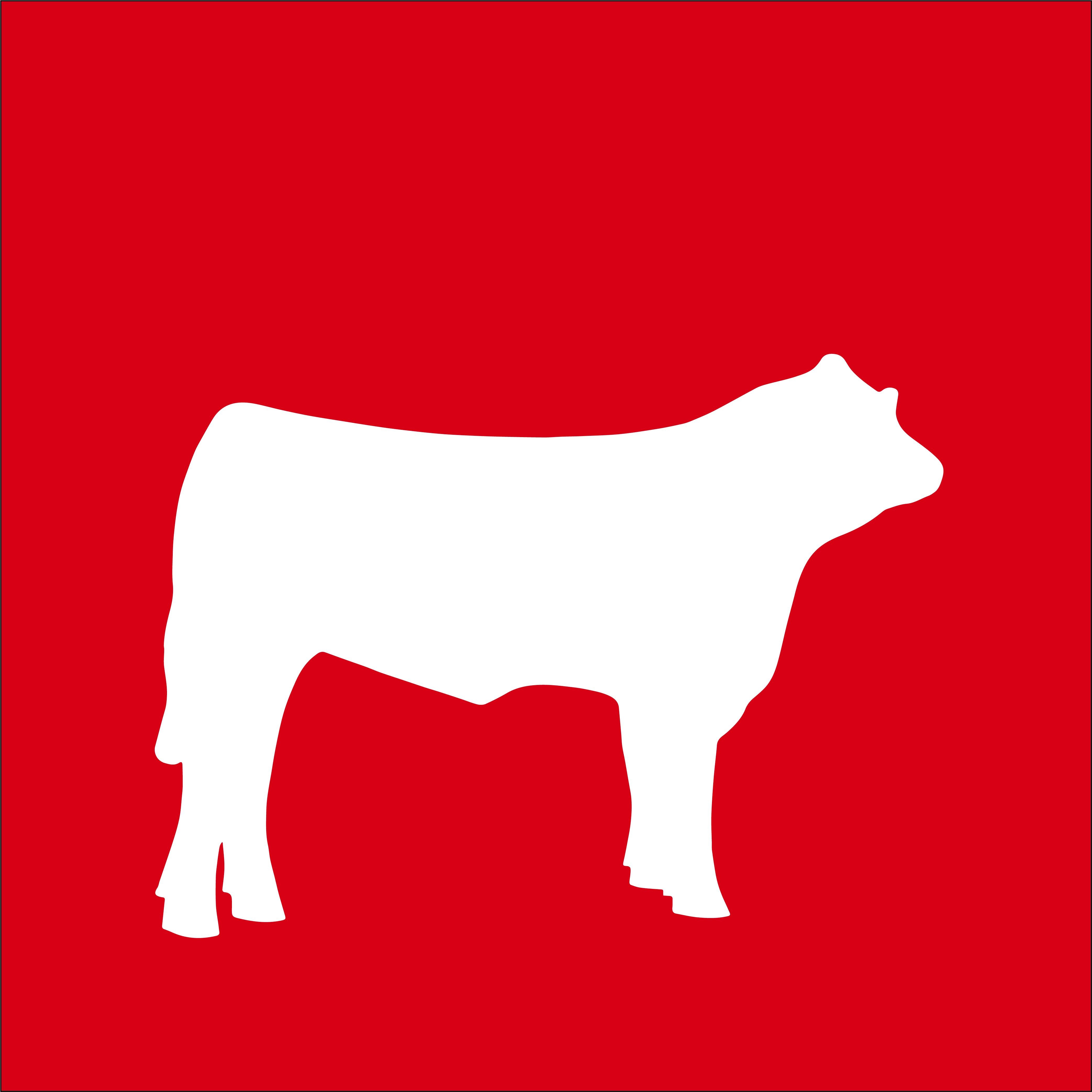 Beef Icon