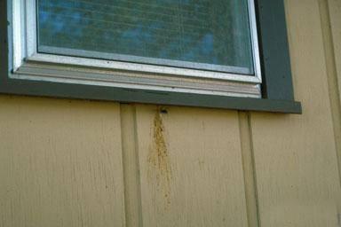 stain on a building next to a carpenter bee entrance hole