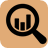 Magnifying Glass Icon