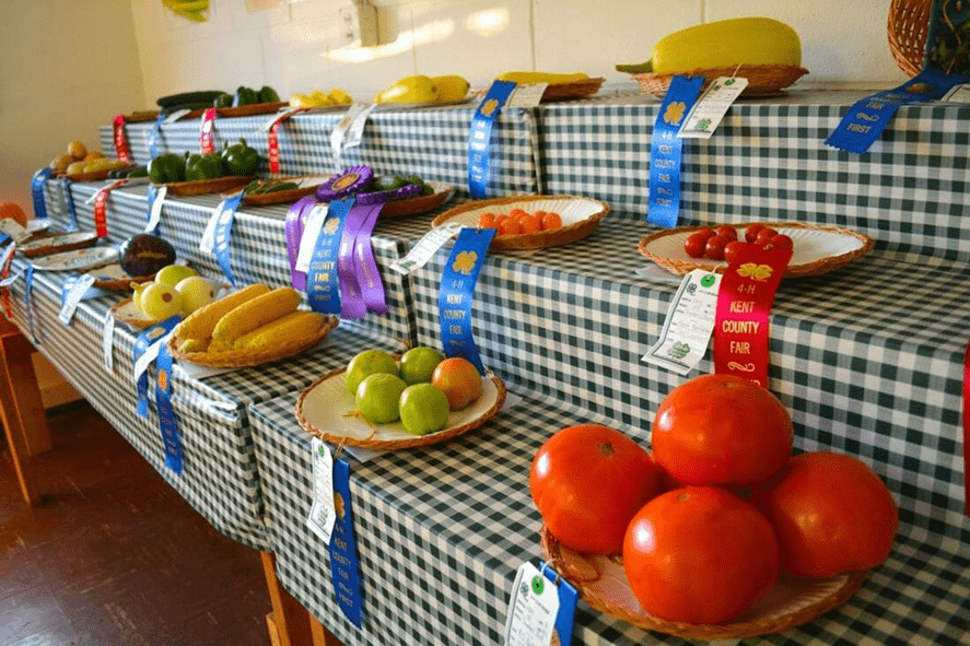 Kent 4-H vegetable entries