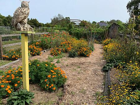 Apprentice Garden