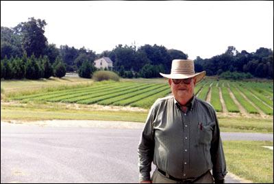 Man in straw hat standing in front of rows of growing plants.