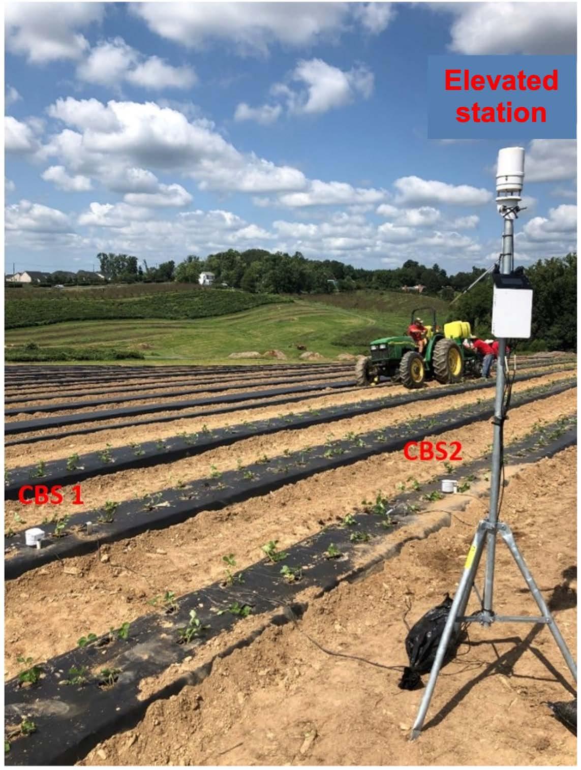 Sensor station installed a strawberry bed.