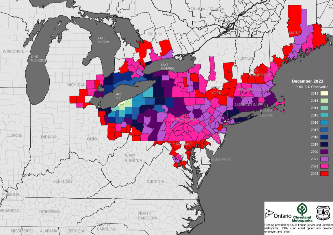 a map showing that beech leaf disease is present in several Maryland counties and in other states north of here