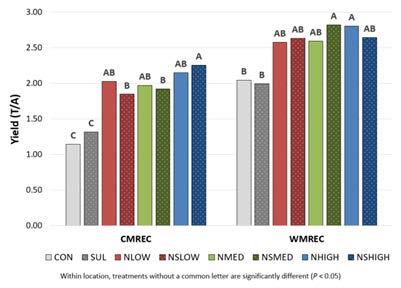 Yield for Triticale forage plots 