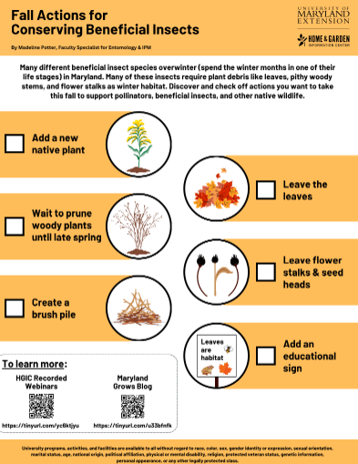 a checklist of actions gardeners can take to provide habitat for beneficial insects in the fall and winter