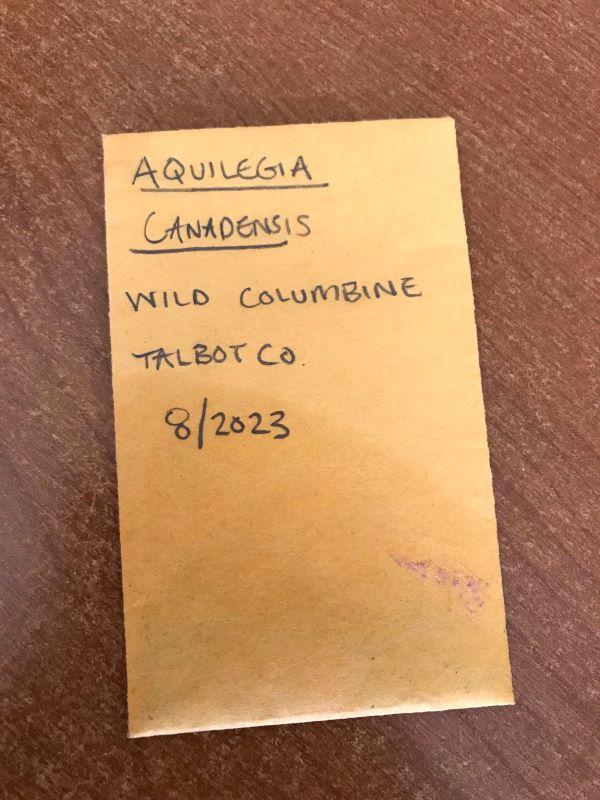 a packet of native seeds saved from wild columbine