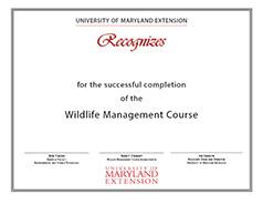 Certificate of Completion