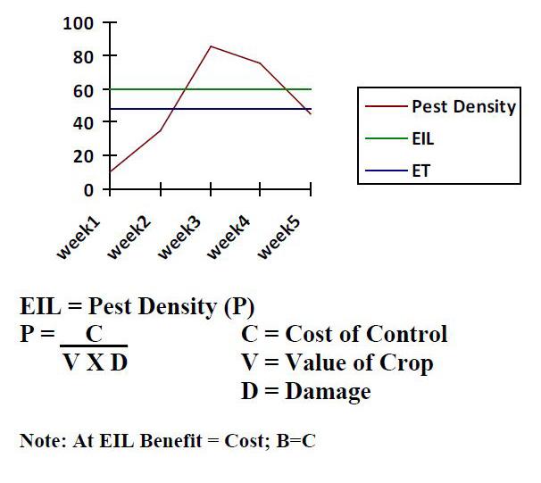 IPM Graph