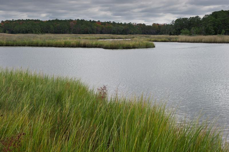 Wetipquin Creek