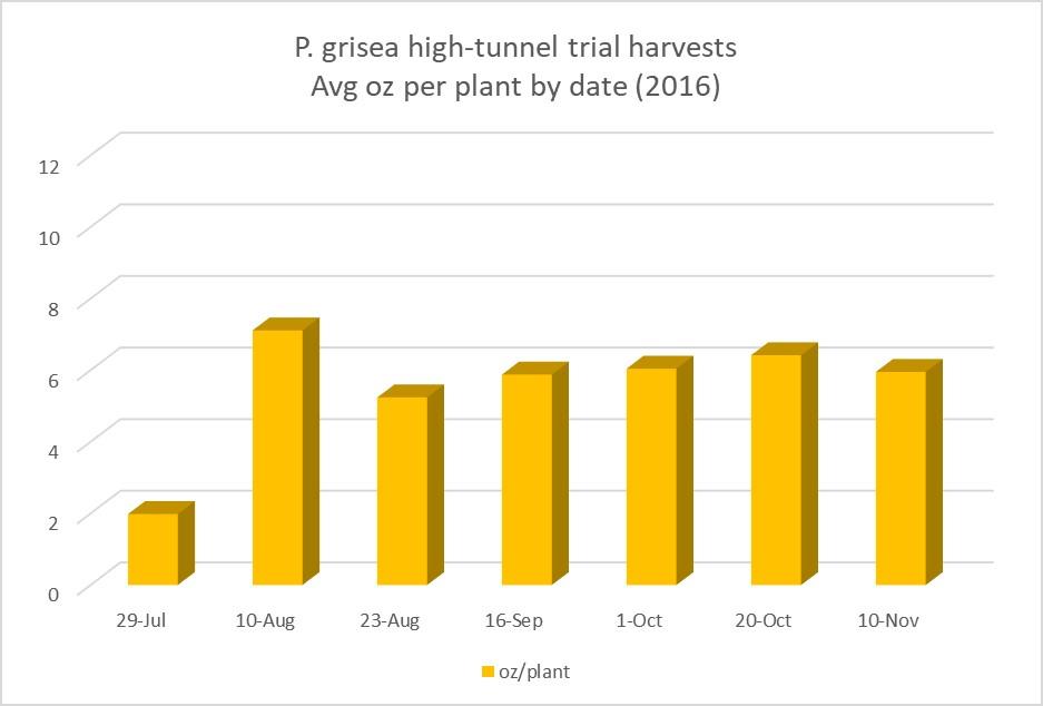 2016 ground cherry harvest graph