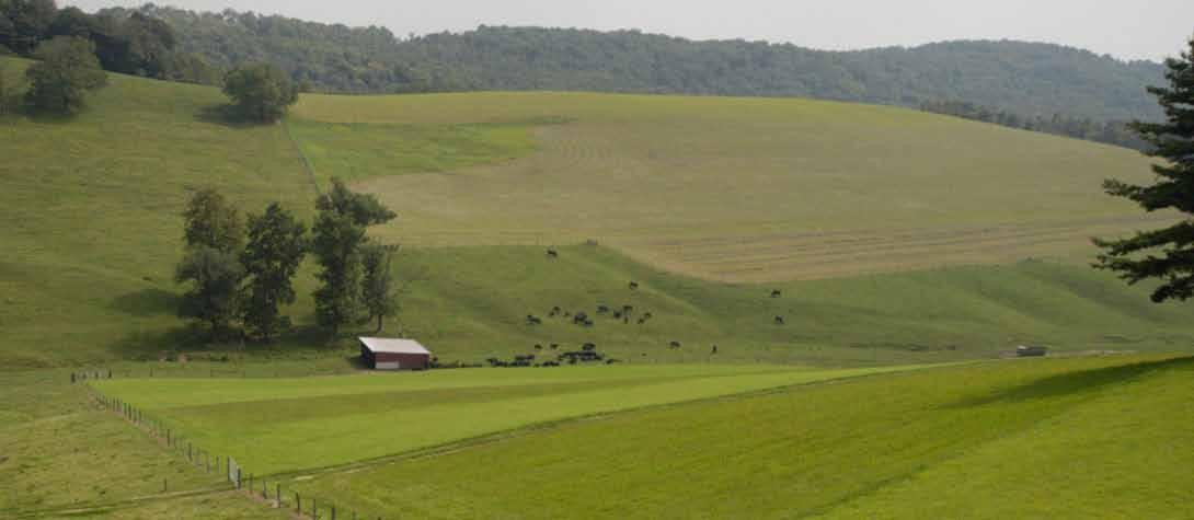 Aerial view, Photo: Edwin Remsberg