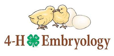 Embryology