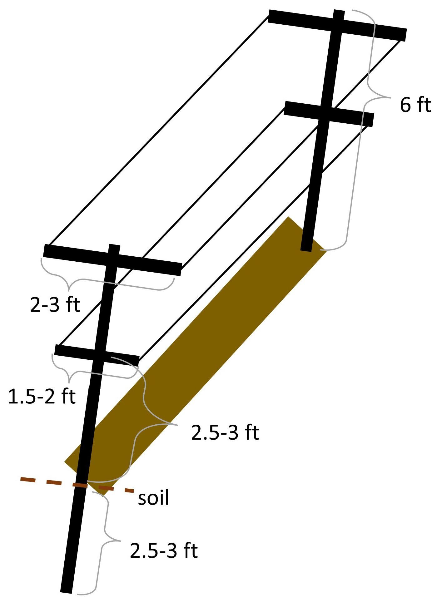 V trellis design and dimensions.