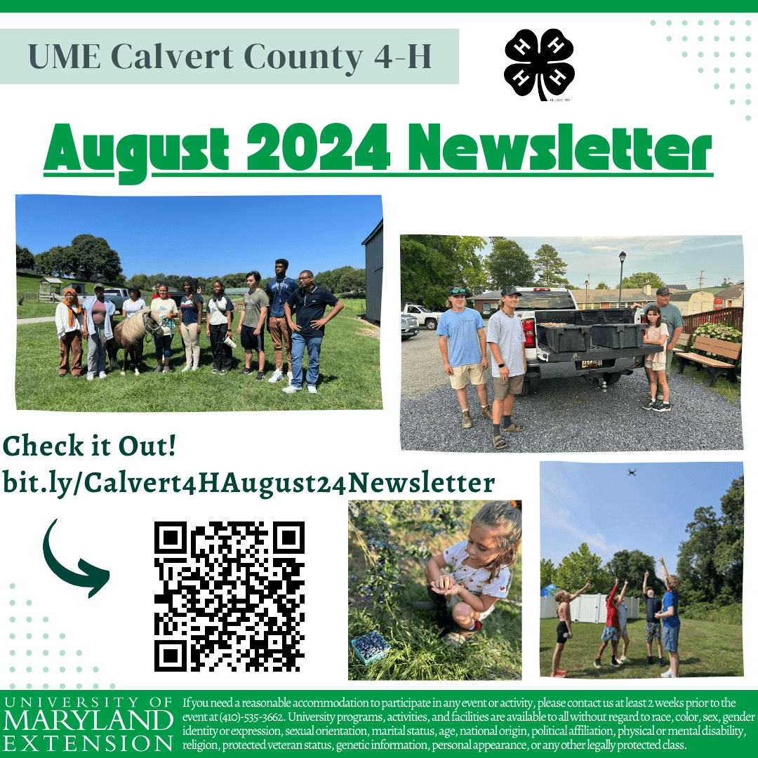 Calvert 4H August 2024 Newsletter Graphic