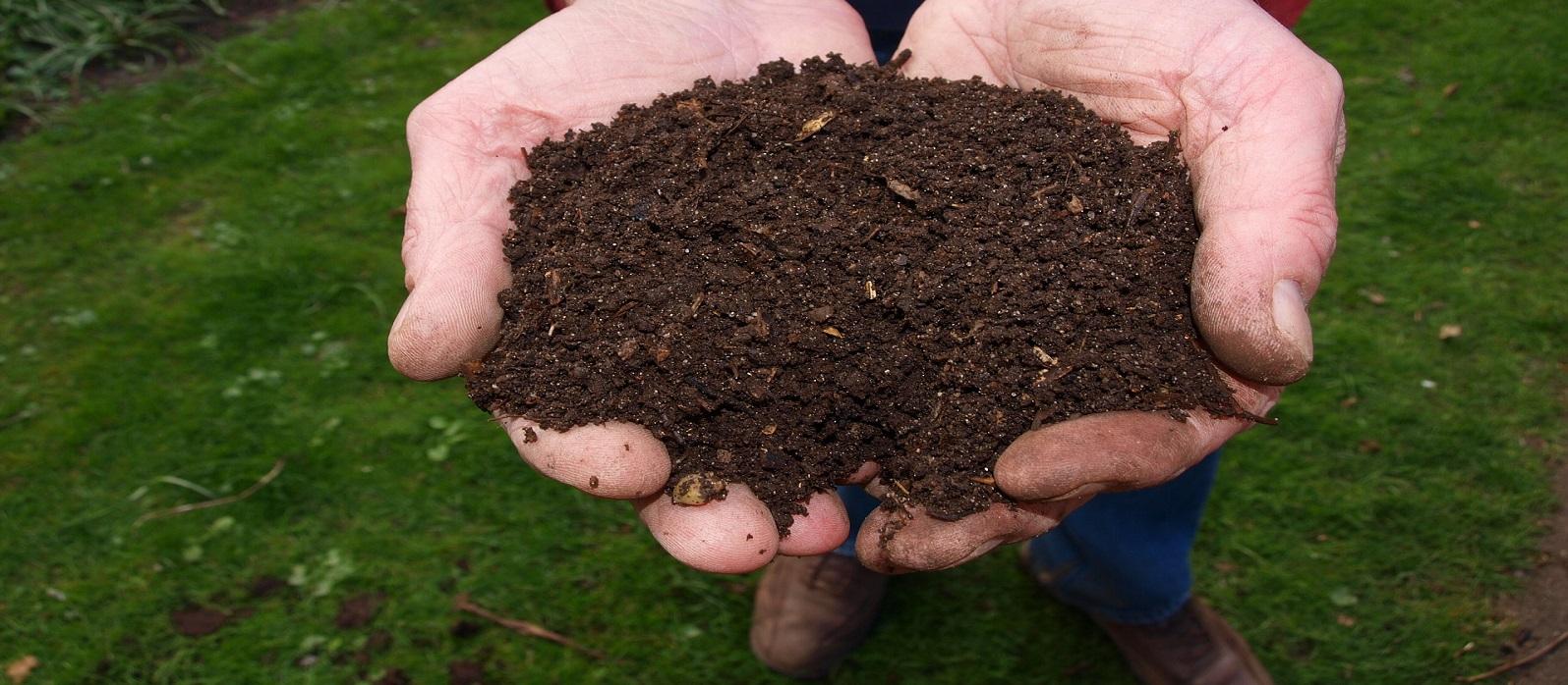 handfull of fresh compost