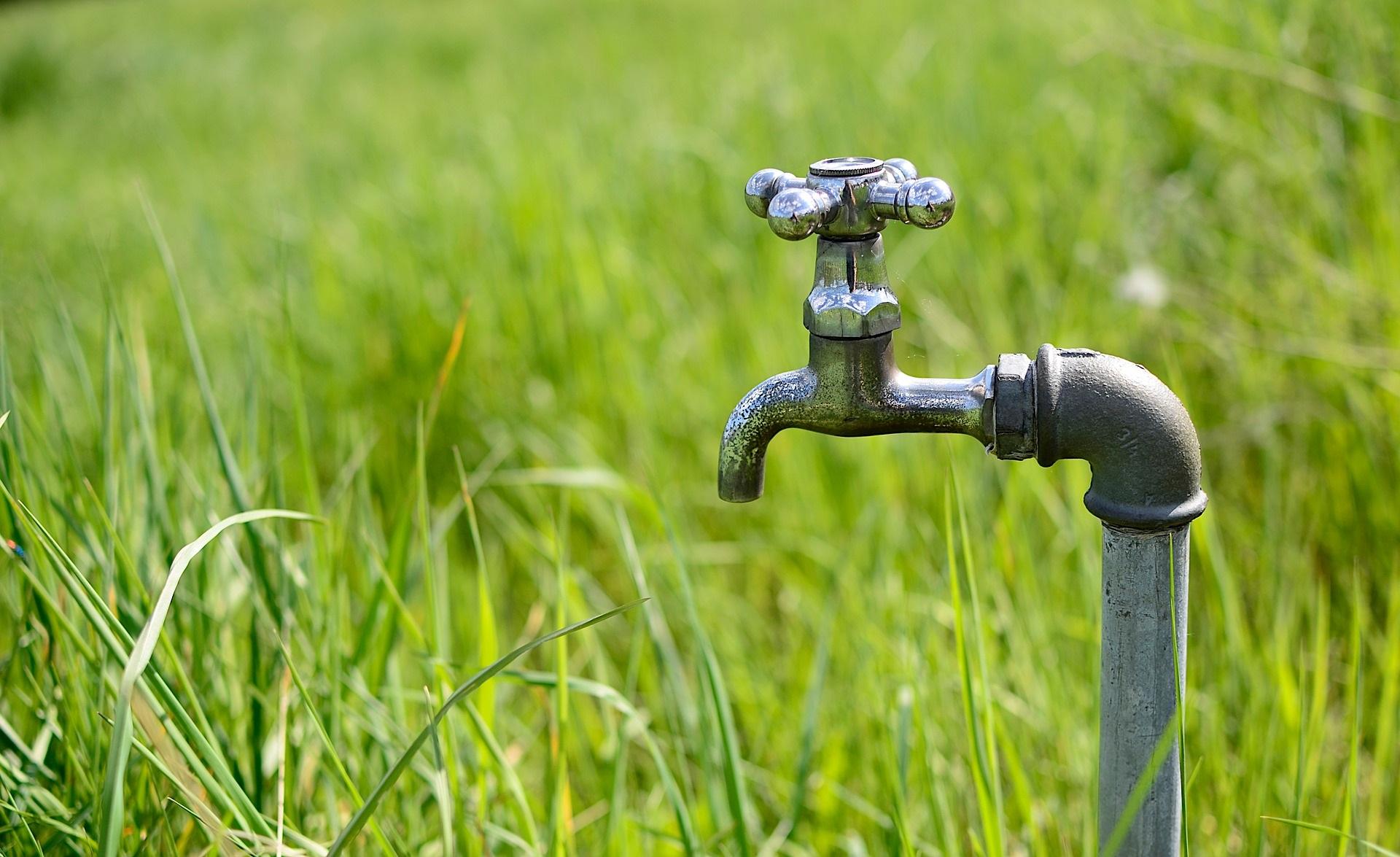 water faucet turned off in tall grass