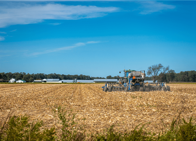 A tractor is cultivating in a harvested corn field.