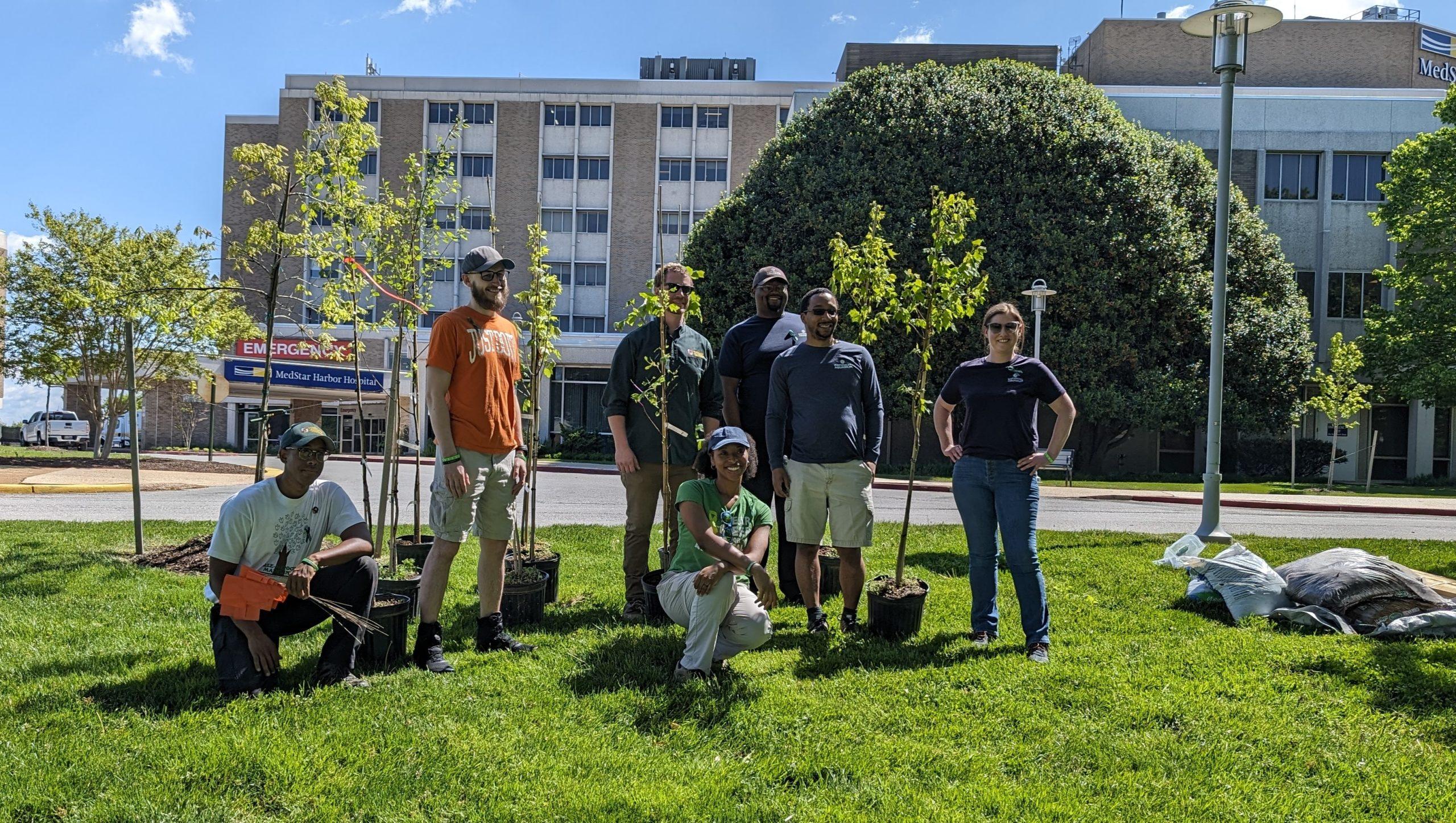 MD Forest Service staff, along with volunteers from MedStar Harbor Hospital and the National Aquarium, plant trees at MedStar Harbor Hospital in Baltimore.  DNR photo.