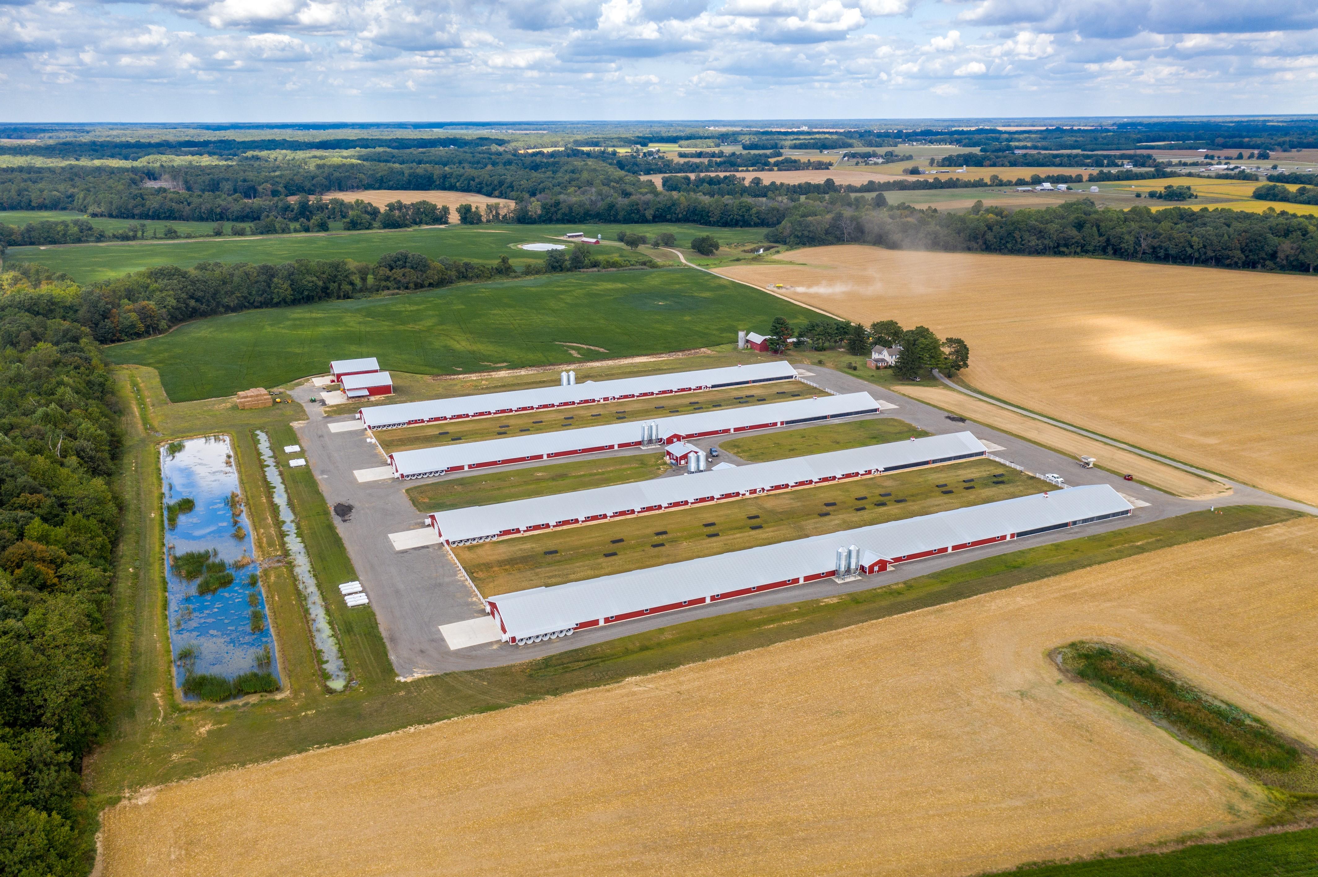 poultry farm, sky view