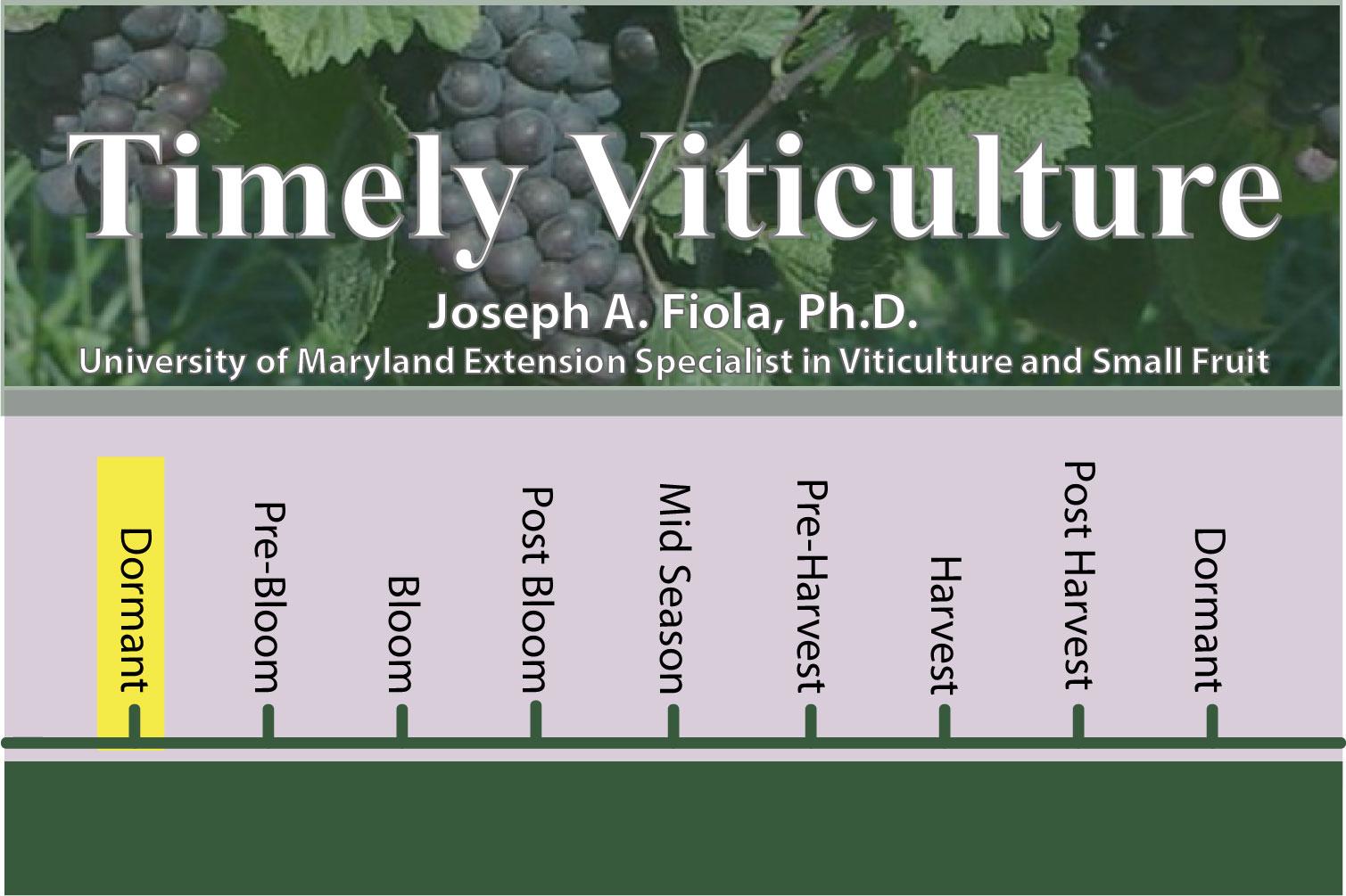 Timely Viticulture Timeline: Dormant