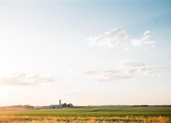 farm scene