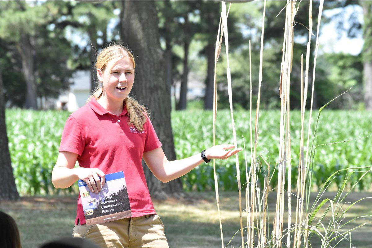 Miscanthus talk