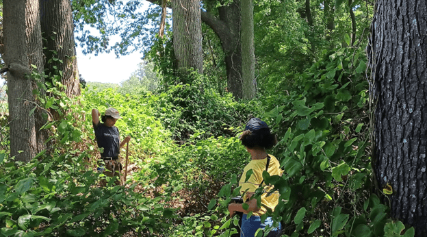 Interns dealing with field conditions while doing forest sample plots.