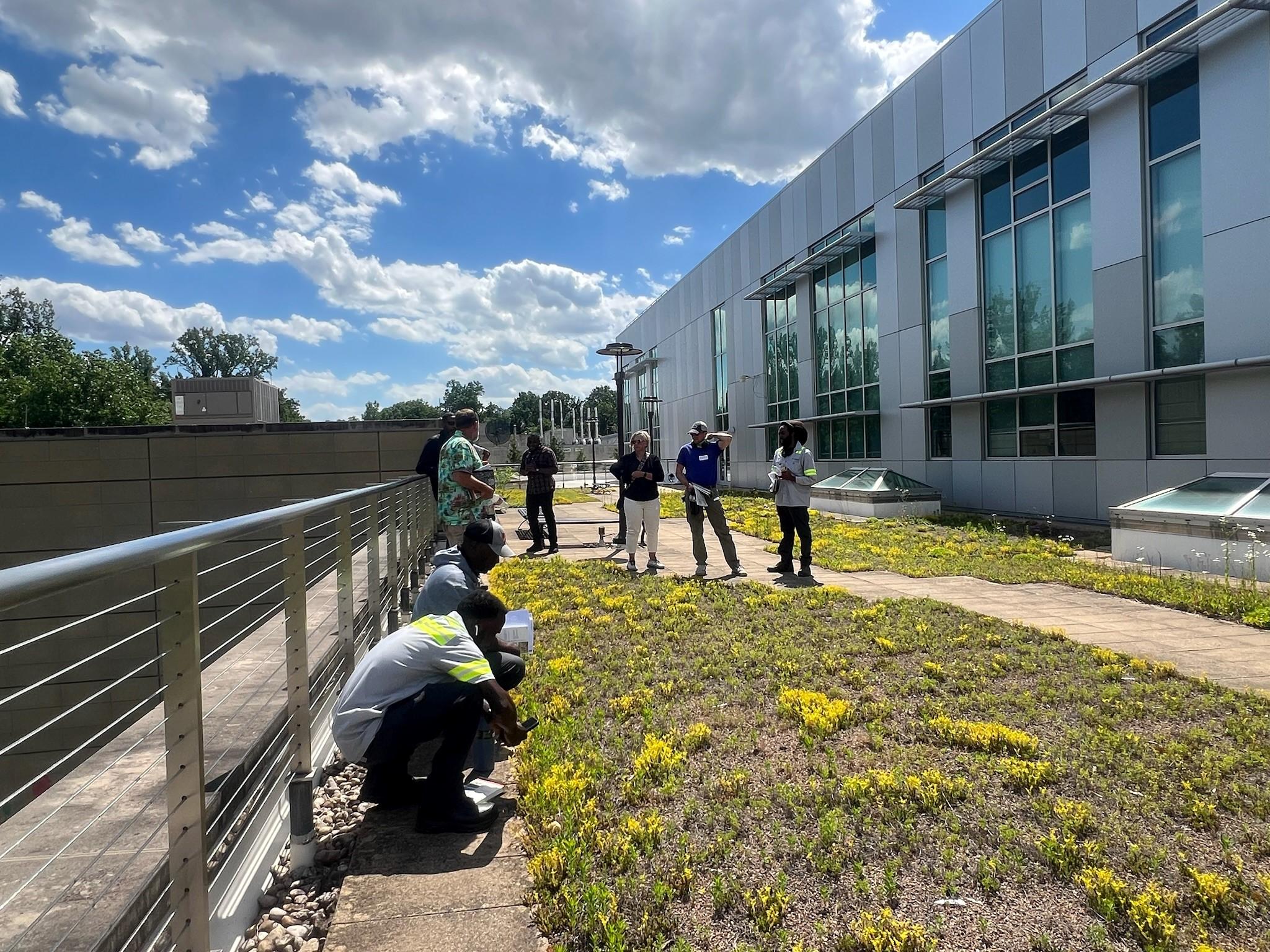 Green Roof