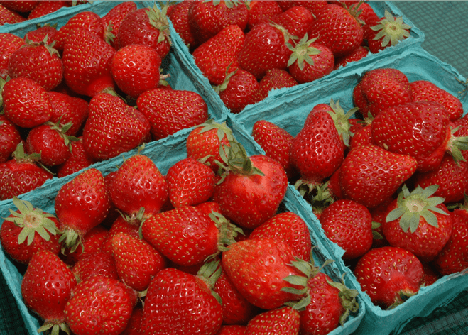 igure shows four blue cartons with strawberries on a table.