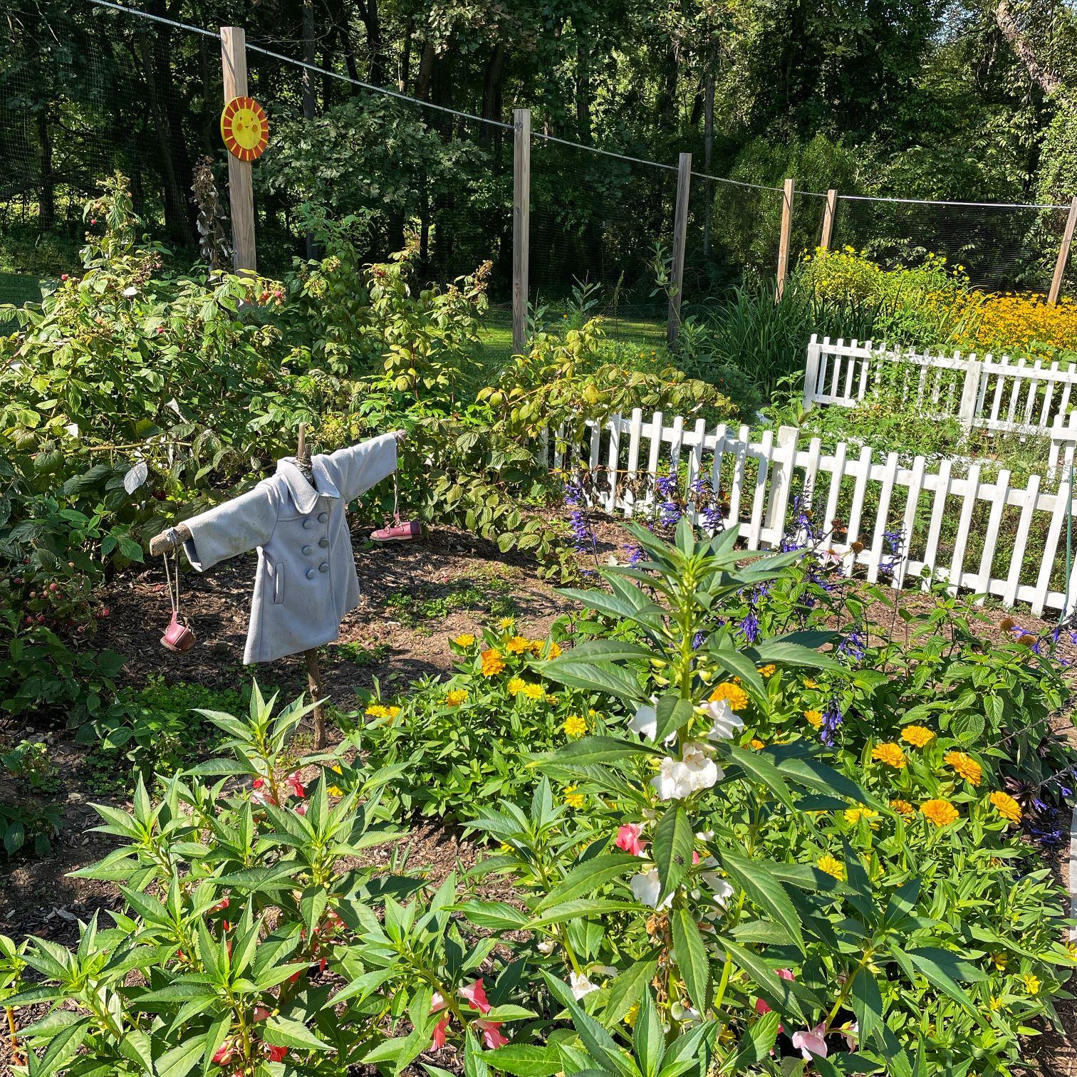 flower garden with scarecrow jacket and white picket fence