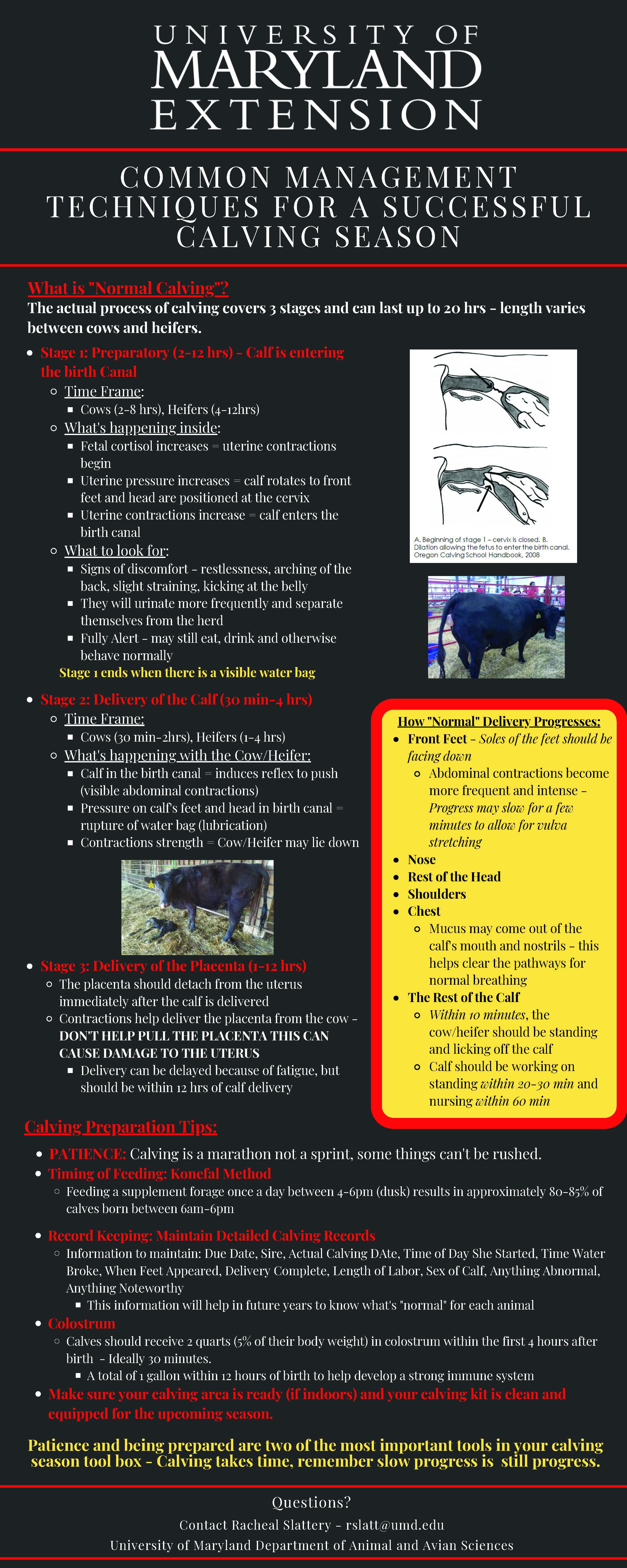 Common Managment Techniques for a Successful Calving Season