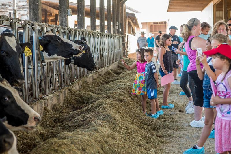 Breakfast on the Farm