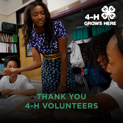 4-H Volunteer