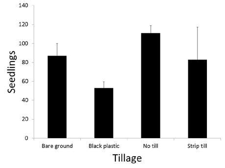 Tillage