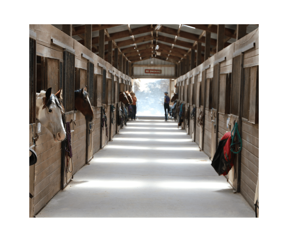 horse barn aisle