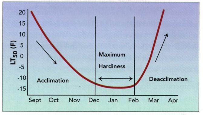 Figure 1. Vine Acclimation from Fall thru Spring 