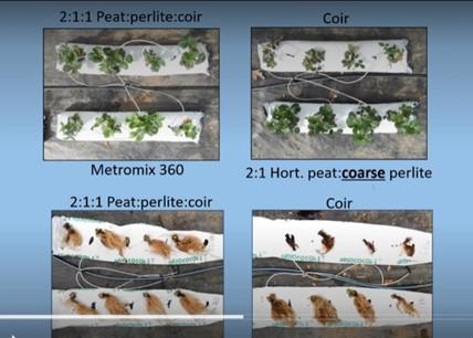 Plant diagram 