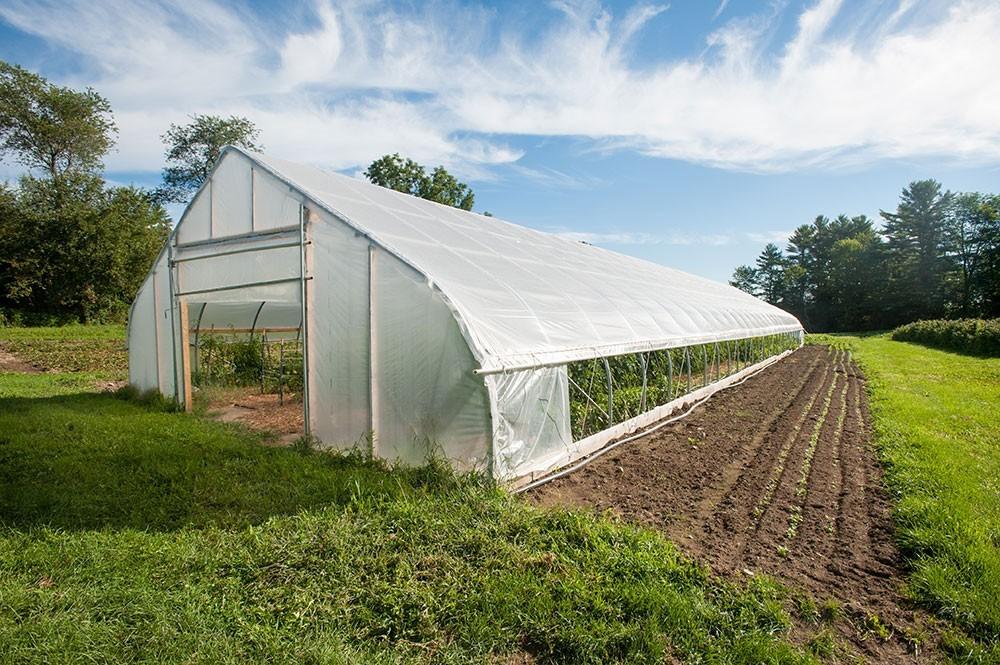 Greenhouse