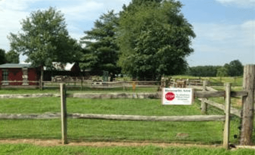 Small Flock Poultry Biosecurity Sign