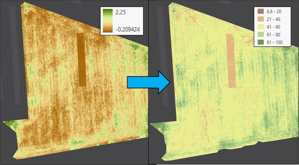 Figure 1. The VARI index image (A) for a field in Laurel, DE that was planted in a clover-cereal rye mix. Each pixel value was transformed to estimate N (lbs/acre) content of the cover crop (B) based on relationships in Figure 2.