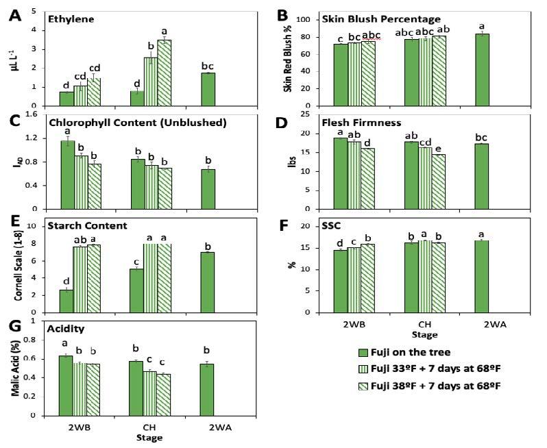 Figure 1. Fruit quality assessments for Fuji apple cultivar at three different maturities, and stored at two different temperatures followed by a shelf-life period. Values are means ± SE (n=4). Different letters indicate significant differences (p < 0.05). (SSC = soluble solids content. DA = difference of absorbance. IAD = index of absorbance difference.)