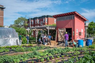 Figure 7: Whitelock Community Farm, in Baltimore, MD is an example of a not-for-profit farm with a mission of providing affordable food for community members, creating a beautiful and inclusive community space, and caring for the environment. Photo by Lena McBean, © UMD AGNR Image Database.