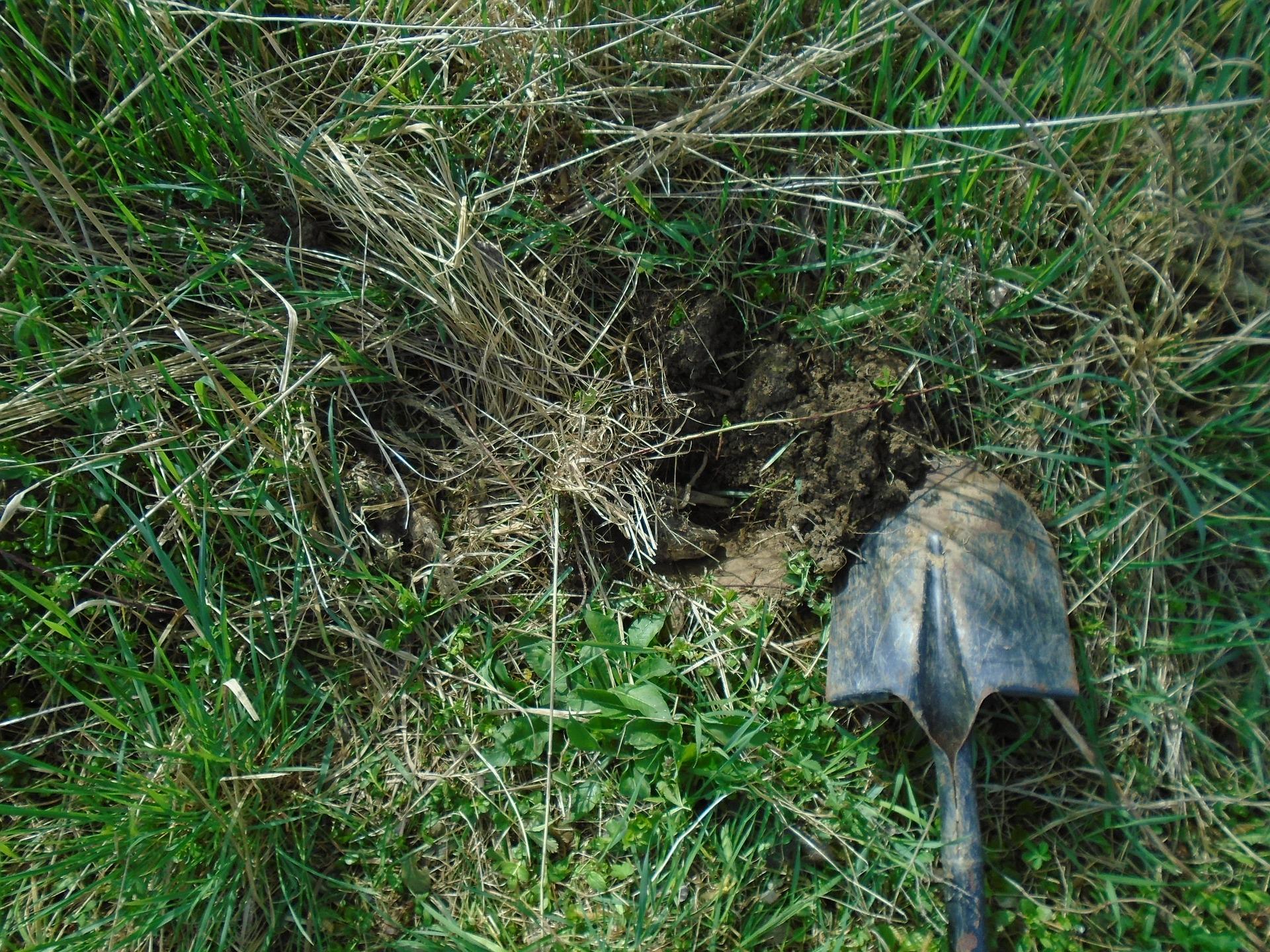 Spade digging in soil