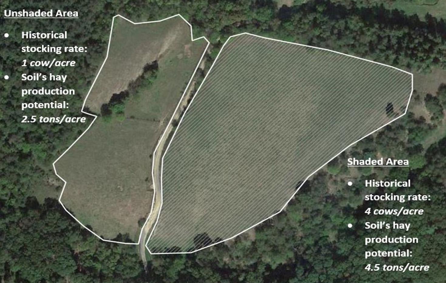 Figure 1: An example of a field with different management units. This field should not be sampled as one management unit because the shaded area (right side) differs in stocking rates and yield potential. Instead, the shaded area should be sampled and managed separately.