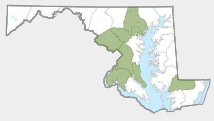 Reported distribution of Japanese Wisteria in Maryland. Courtesy Maryland Biodiversity Project.