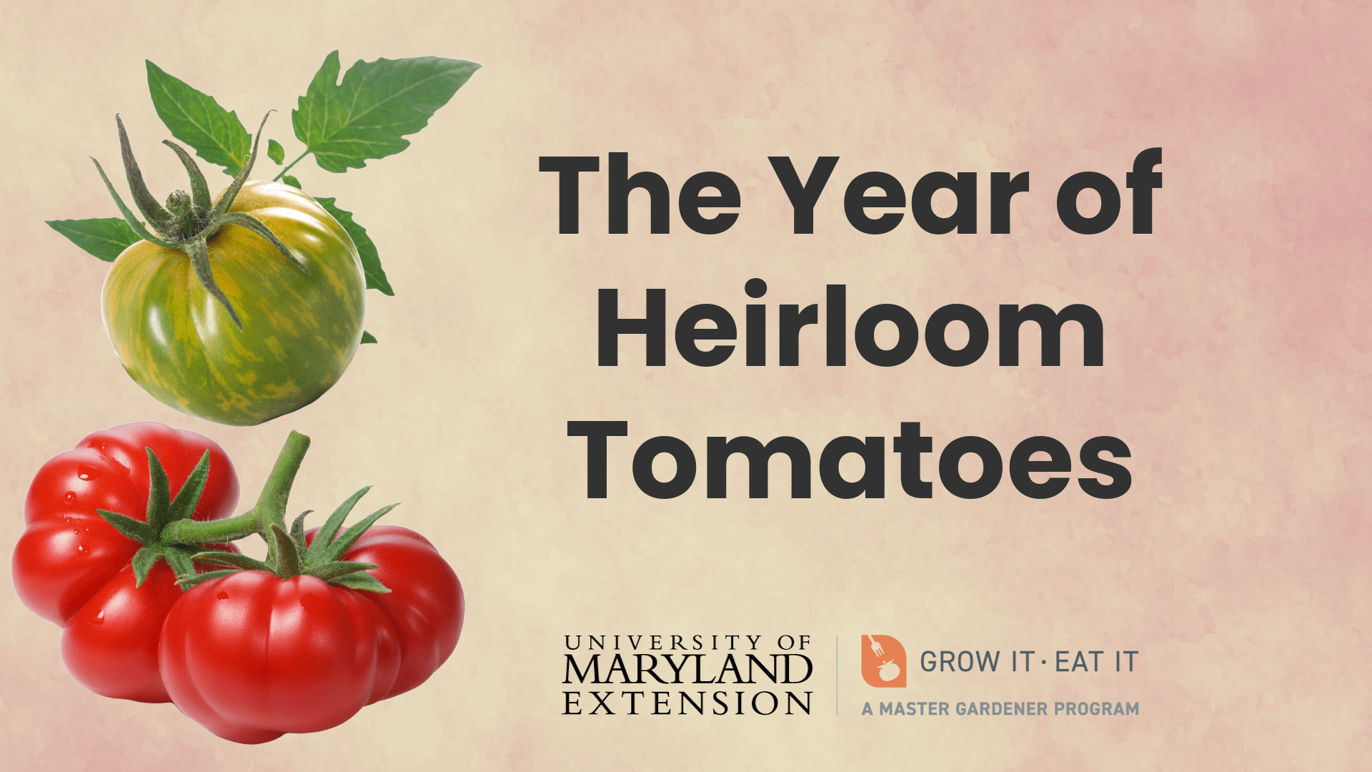 heirloom tomatoes