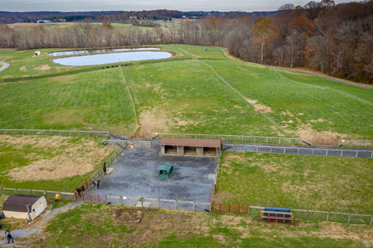 Equine Rotational Demonstration site