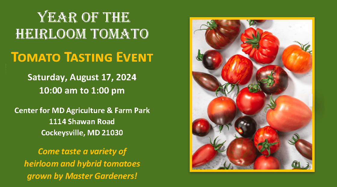 Tomato Tasting Event - August 17th at the Center for Maryland Agriculture and Farm Park