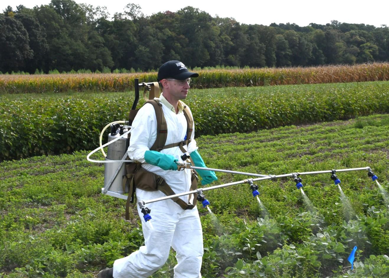 Manualy spraying crops 